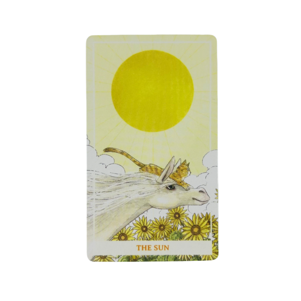 Kartu Tarot Kucing Oranye Cera - Party Games Best ulasan dan harga